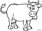 #简笔画#  这奶牛的奶是不是画的太明显了