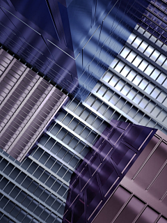 森林中采集到Photo.Purple