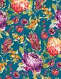 Australian Flora by Charis Harrison, via Behance