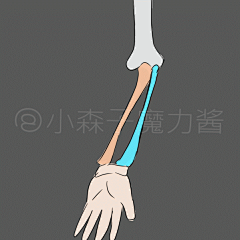 烟蒂内个酱采集到D【教程1】绘画基础教程 人体基础