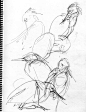 Snowy Egret gesture drawings: 