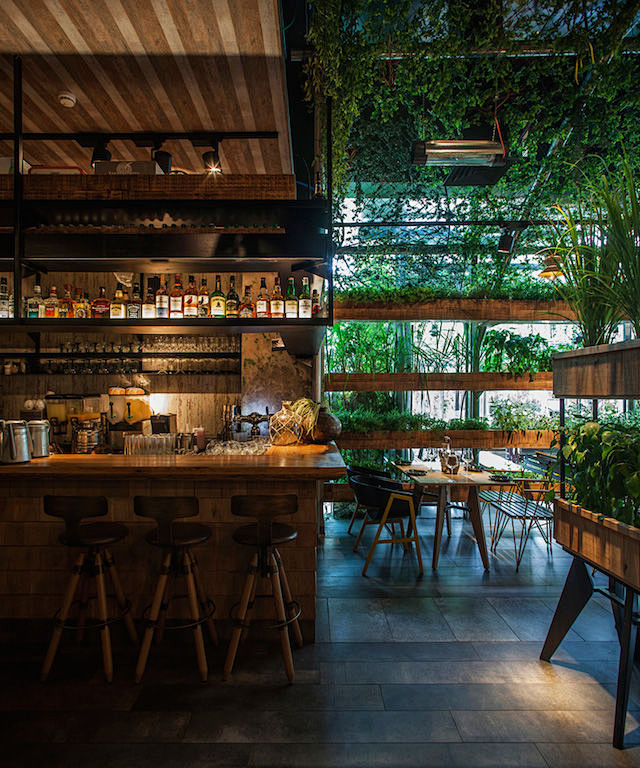 香料种在了用餐区，这个餐厅像是个植物王国...