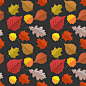 осеня、листя、дон、彩色、背景、秋季、图案、叶子、осенние、无缝 _植物世界 花草树木采下来 #率叶插件，让花瓣网更好用#