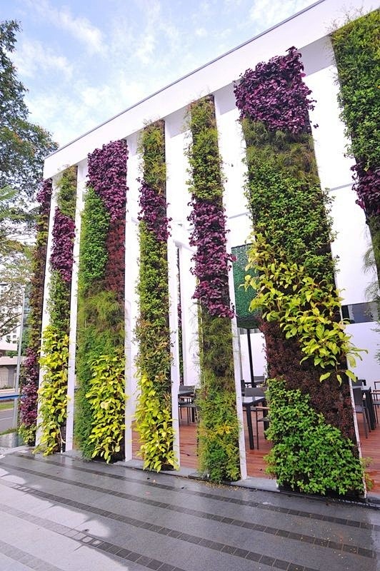 living wall: 