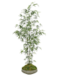 Bamboo (GN211): Bamboo Table Tree, Newport Bowl, 36wx26dx74h: 