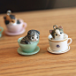 【A Huan】日本 正版尾单 森林系 咖啡杯 杯子猫咪 太萌了！