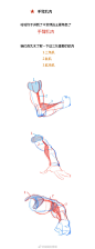 条漫第四弹：手臂肌肉到底怎么画？（理解+练习）#春哥的绘画课室# 绘画参考 #人体绘画# ​​​​ _人体结构与模特采下来 #率叶插件，让花瓣网更好用#