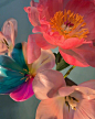 Flowerins：doan_ly