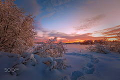 -瑞雪兆丰年-采集到照片素材一一雪景，冰