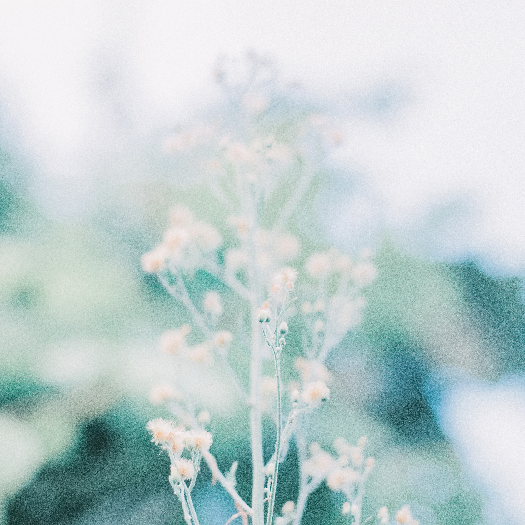 c541928b939d79fa28106513327dd6b762e6e52315980c-l1vepM