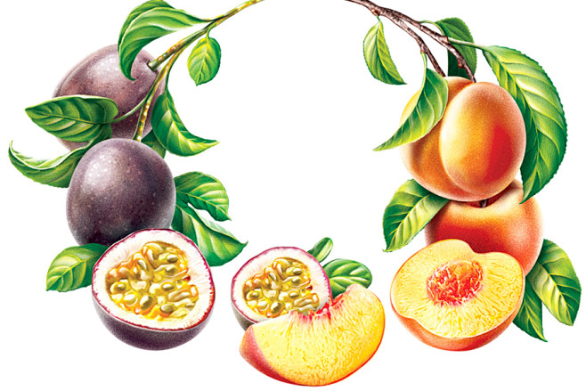 Fruits illustrations...