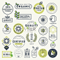 Set of labels and stickers for organic food and drink, and natural products