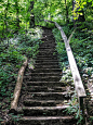 县城公园山上的木制台阶