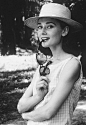 Audrey Hepburn 