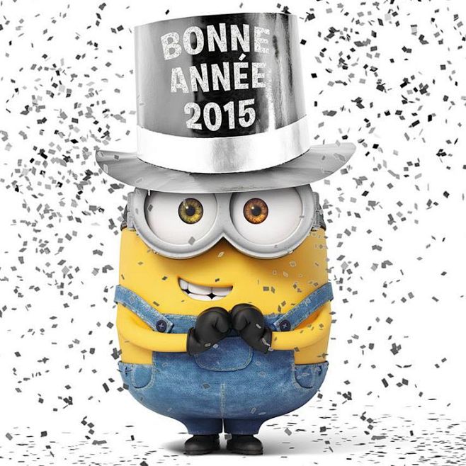 Bonne année 2015: 