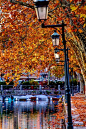 Autumn in Annecy, France.༻✿ڿڰۣ ♥ NYrockphotogirl ♥༻