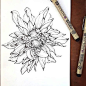 一组针管笔黑白花卉线稿素材 
by kindradoo ​ ​​​​
