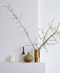 Gold Vase. Metal. Plants. Branches. Decor. Details. Mantle. Interior. Home.