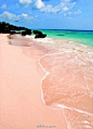 世上独一无二的粉色沙滩，巴哈马哈勃岛东侧的Pink Sands Beach。