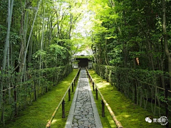 L-中华田园犬采集到l-Tokyo（日本景观合集）