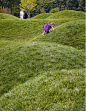 起伏的草丘使孩子们与自然环境产生亲密的互动。