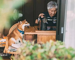 是岸北呐采集到动物们