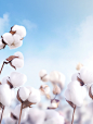 background image of cotton flowers in the sky, in the style of organic material, spectacular backdrops, minimalist textiles, minimalist purity, photobashing