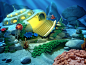 Aquascapes, Evgeny Kudryashov : Backgrounds for i-spy levels. PC game Aquascapes by Playrix.