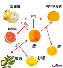 羽炎123采集到有趣&搞笑