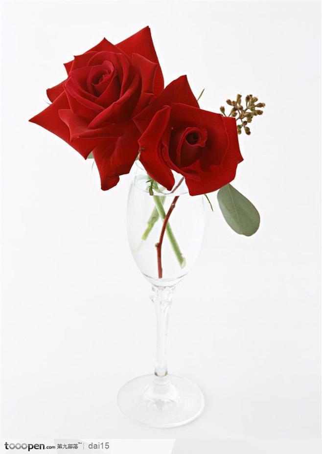 高脚杯中的两朵红玫瑰图片素材，花的彩绘-...