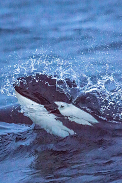 __湛蓝采集到湛蓝海域