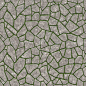 Texture seamless | Paving flagstone texture seamless 05883 | Textures…