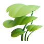 Premium Leaves 3D Illustration download in PNG, OBJ or Blend format