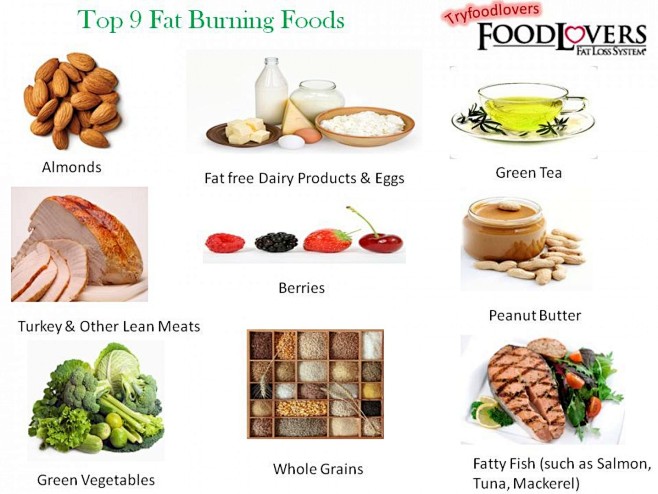 Top 9 Fat Burning Fo...