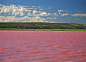 [粉红色的湖] 粉红色的湖西澳大利亚金矿地区埃斯佩兰斯地区