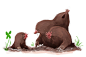 Diglett - Dugtrio by MrRedButcher on deviantART