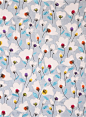 pigeon blue Field Study flower fabric Timeless Treasures | modes4u
