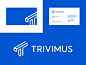 trivimus / logo design business cards identity. branding logo engineering technology print printing lettermark t 3d trivimus