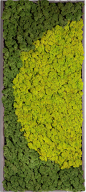 Verde Profilo - Product - Moss Painting_R - Image-2