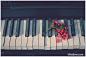 钢琴和爱情