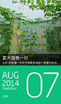 #岁月静好，么#131 2014.8.7 夏天盛极一时，每一片叶子都能背诵出一段夏日时光。盛夏时光，立秋了，夏天还很长，一切也都还不错。