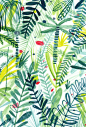 Charlotte Trounce. Leaves plants pattern green