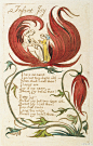 英国浪漫主义诗人、版画家威廉·布莱克（William Blake, 1757—1827）的诗稿。