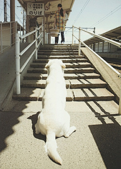 浓的重采集到市井