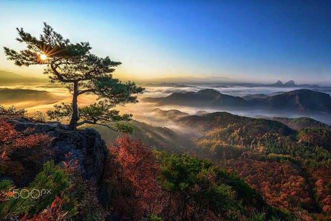 园林地貌参考 韩国
位于青年公园500p...