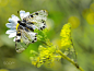 Spring by Yılmaz  Uslu on 500px