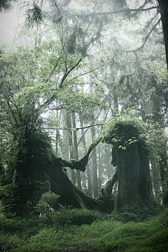 幸福小骗子采集到风景-四季