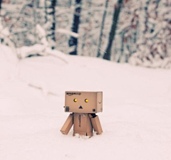 Lynn采集到Danbo 亚马逊小盒