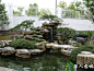 庭院龟纹石假山鱼池图片