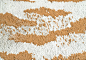 由50万支香烟打造而成的虎皮地毯会是什么样子的呢？中国知名的当代艺术家徐冰近期有幅作品在美国弗吉尼亚美术博物馆展出，铛铛铛铛，就是这张虎皮地毯。虎皮地毯有什么...